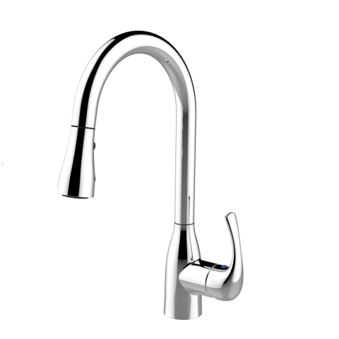 Vòi rửa chén Asani mã 064020